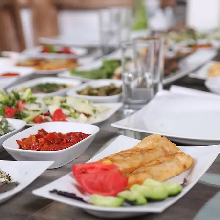 Hotel Arya Karaburun (Izmir)